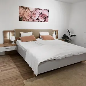 Eine Schoene Im Herzen Von Basel. Apartamento Basilea